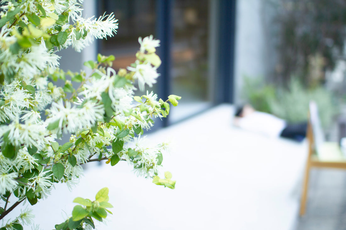 オーガニック(有機)食品とはどんなもの?