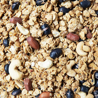 塩胡椒グラノーラ大容量|グルテンフリー・砂糖不使用・無添加|アンドオア