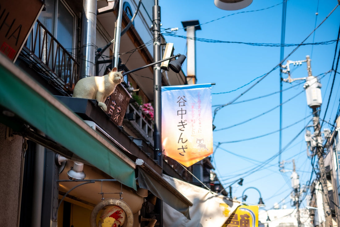 【谷中・根津】で人気のカフェ11選！カフェ巡りをするならココがおすすめ！