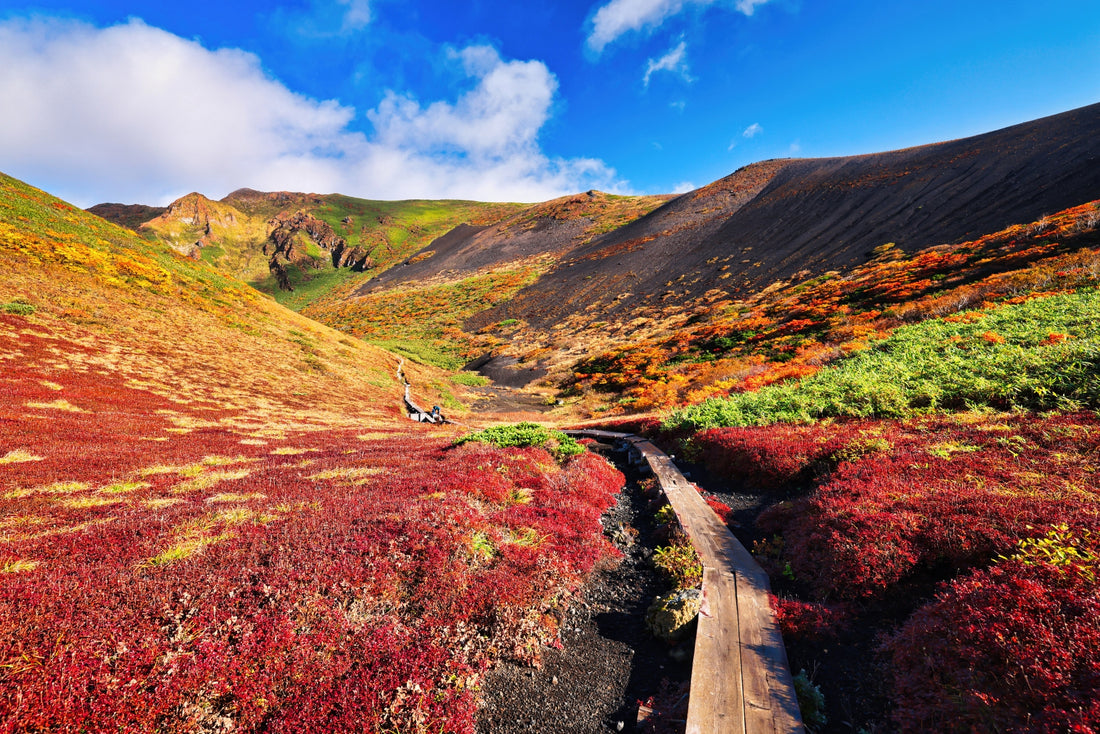 登山には行動食を持っていくべき？選び方やおすすめの行動食を徹底解説！