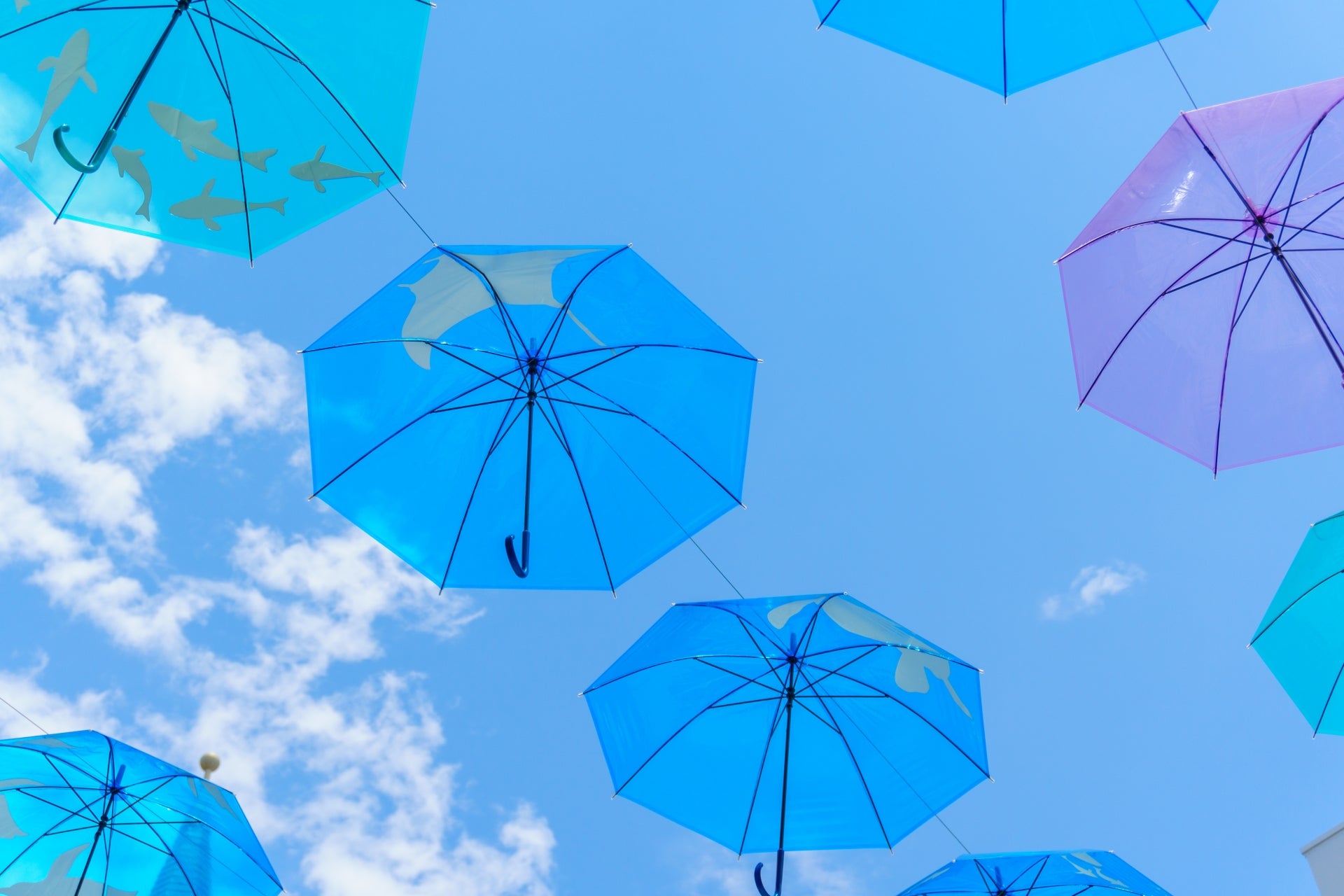 梅雨に気をつけたい体調管理