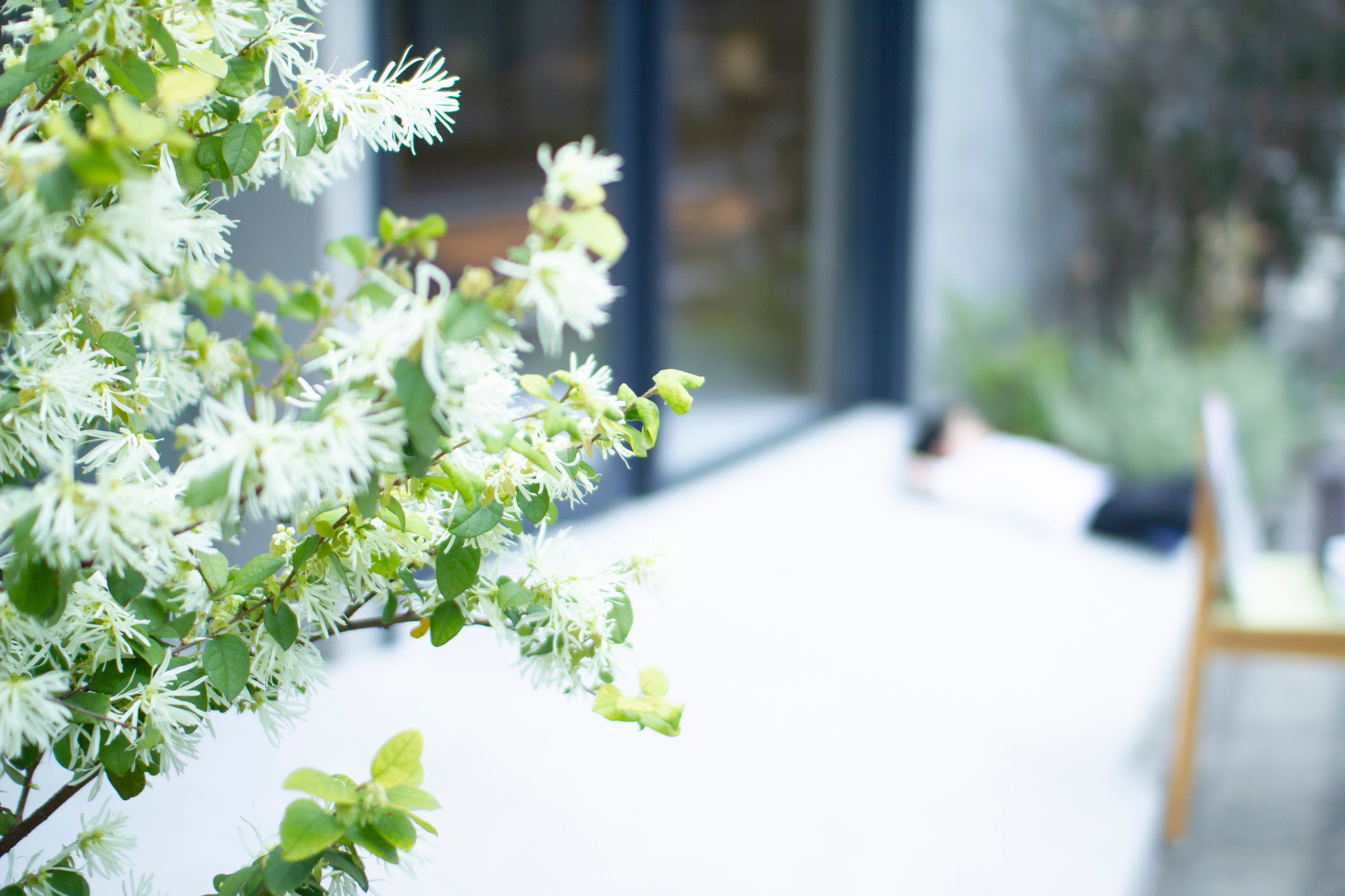 オーガニック（有機）食品とはどんなもの？