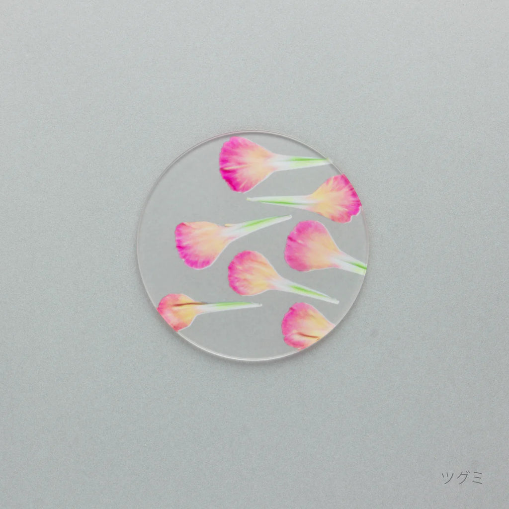 【母の日限定】カーネーション押し花コースター＆グラノーラ＋有機ドライいちじく ギフト 2026