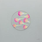 【母の日限定】カーネーション押し花コースター＆グラノーラ＋有機ドライいちじく ギフト 2026