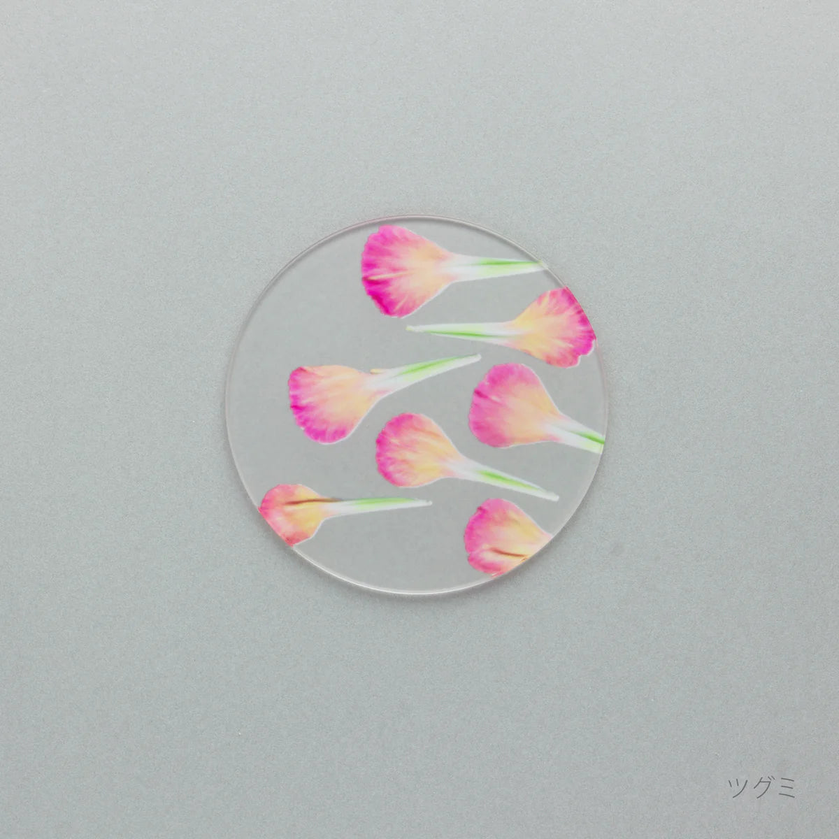 【母の日限定】カーネーション押し花コースター＆グラノーラ＋有機ドライいちじく ギフト 2026