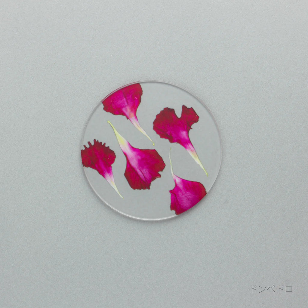 【母の日限定】カーネーション押し花コースター＆グラノーラ＋有機ドライいちじく ギフト 2026