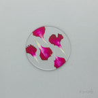 【母の日限定】カーネーション押し花コースター＆グラノーラ＋有機ドライいちじく ギフト 2026